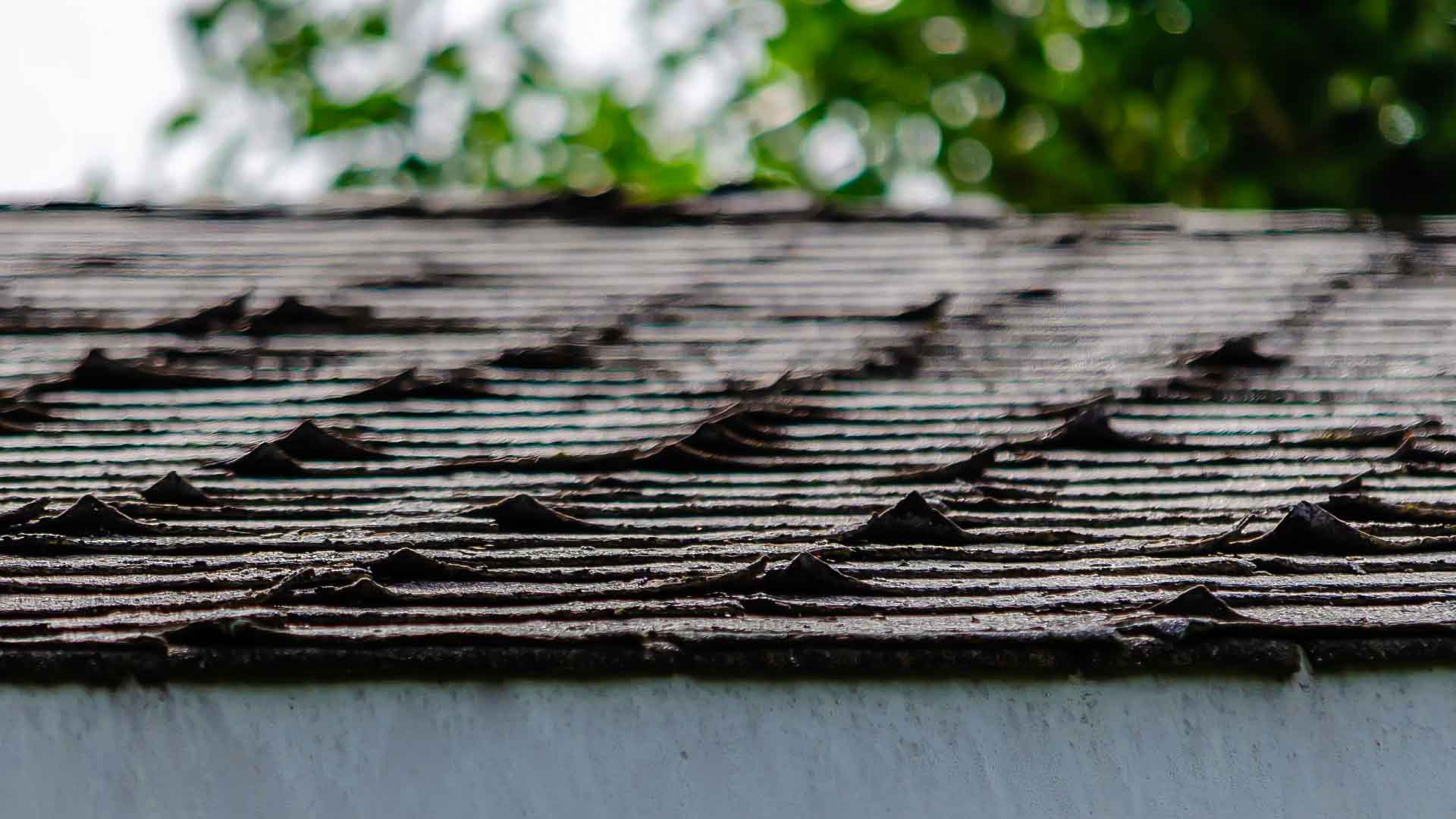 Sun Rise Sheds | How Can You Tell It's Time? The When And Why To Reroof A Damaged Shed